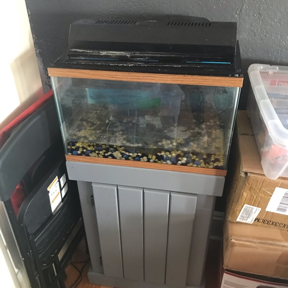 Fish Tank - Picture 1 of 3